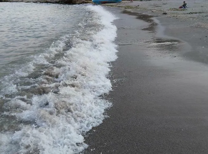 Camel * エフォリエ・ノルド